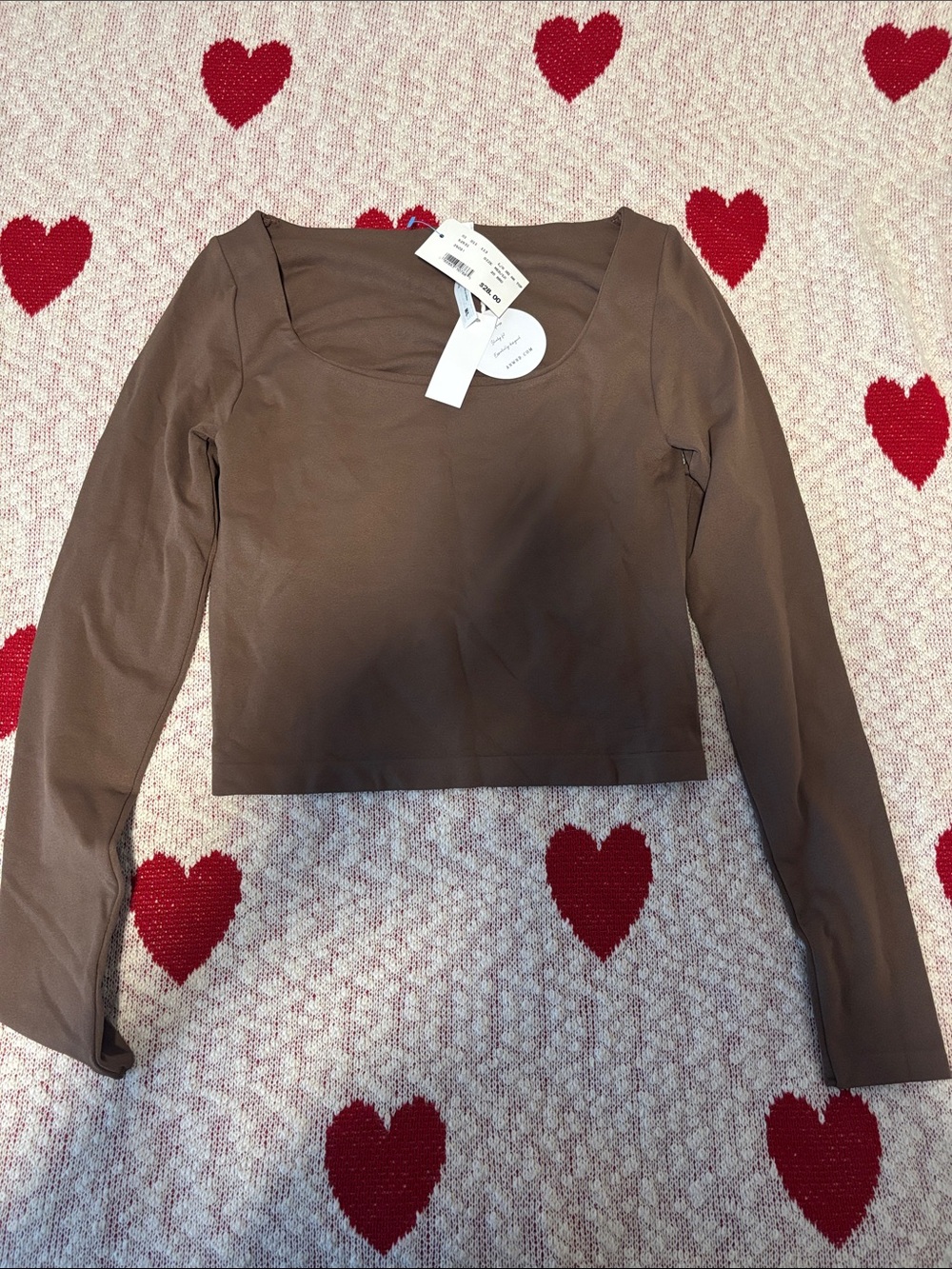 Brown Long-Sleeve Scoop Crop Top